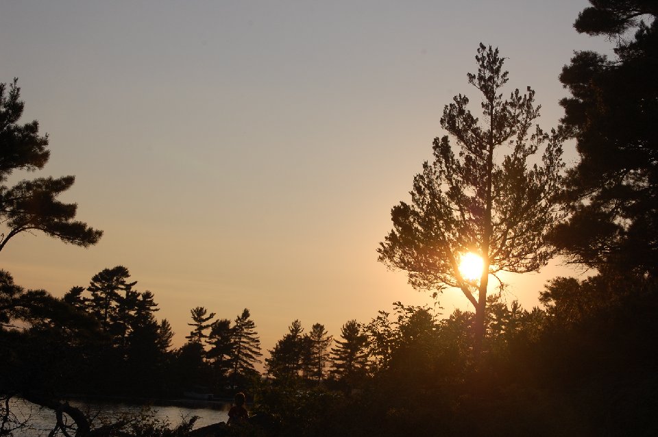 SUMMER (130)